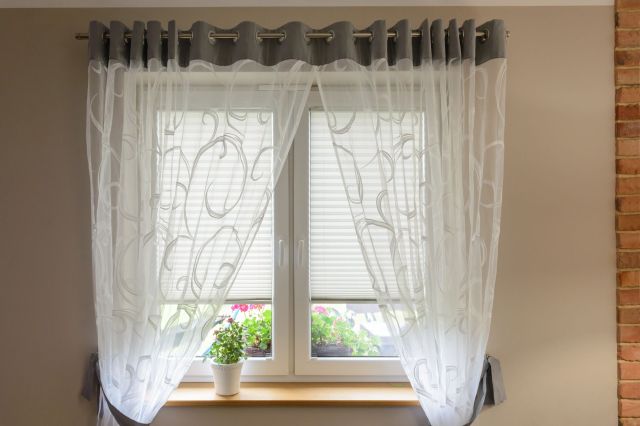 Window pleated blinds