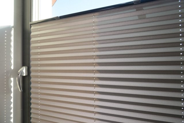 Window pleated blinds