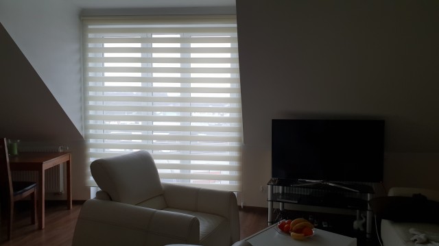 Ceiling-/wall-mounted D/N blinds – MGS