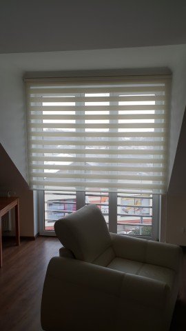 Ceiling-/wall-mounted D/N blinds – MGS