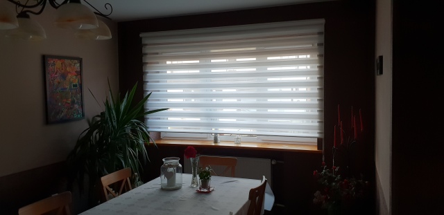 Ceiling-/wall-mounted D/N blinds – MGS