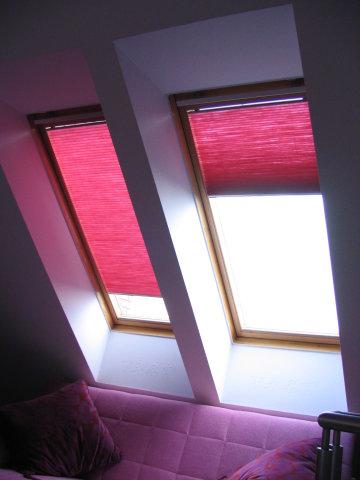 Window pleated blinds