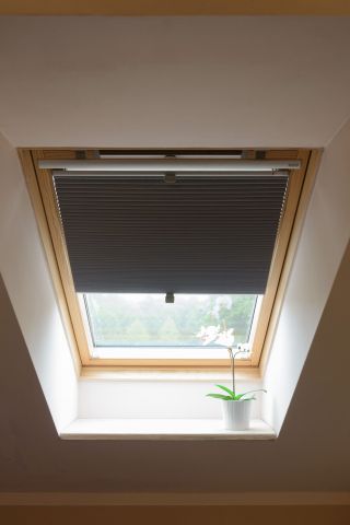 Window pleated blinds