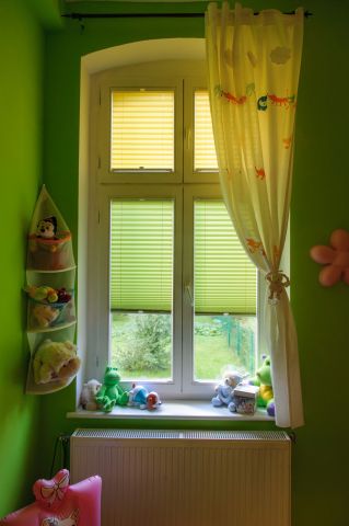 Window pleated blinds