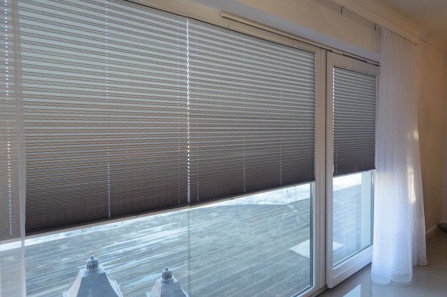 Window pleated blinds