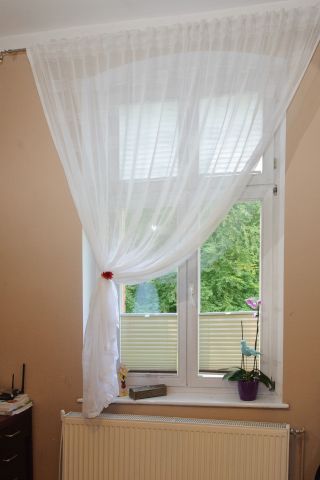 Window pleated blinds