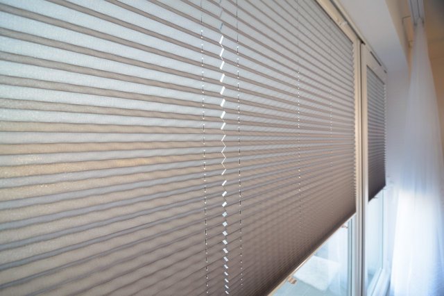 Window pleated blinds