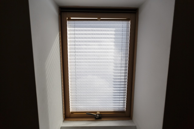 Window pleated blinds