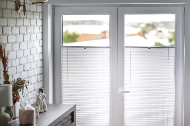 Window pleated blinds