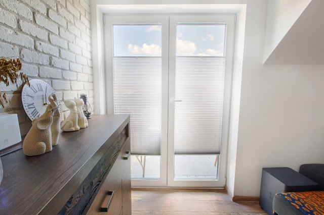 Window pleated blinds