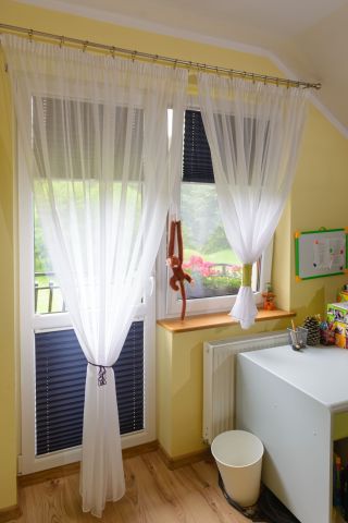 Window pleated blinds