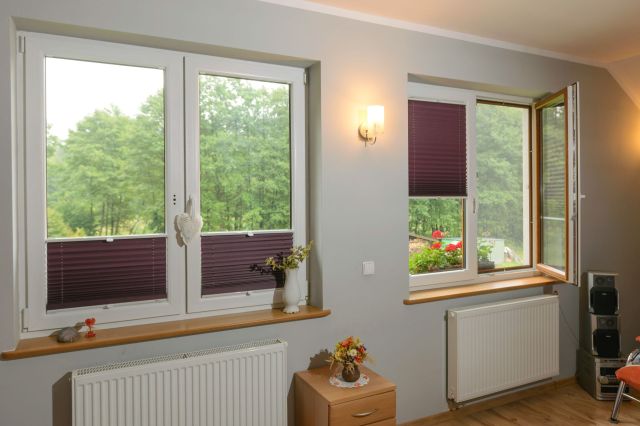 Window pleated blinds