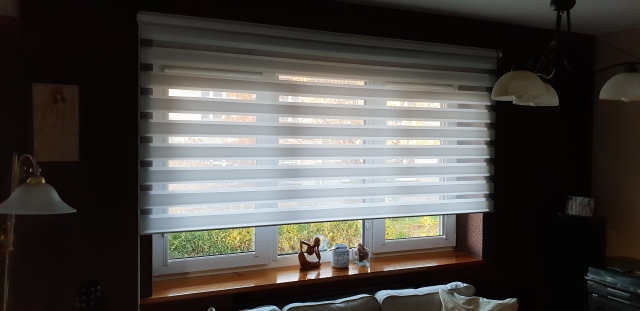 Ceiling-/wall-mounted D/N blinds – MGS