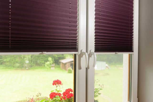 Window pleated blinds