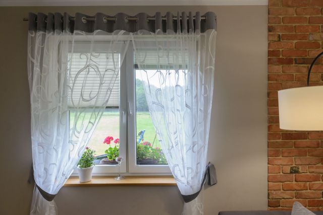 Window pleated blinds