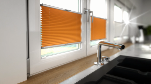 Window pleated blinds