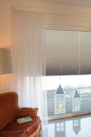 Window pleated blinds