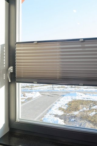 Window pleated blinds