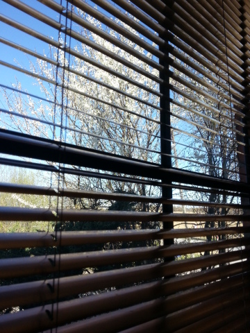 Aluminium blinds 25mm